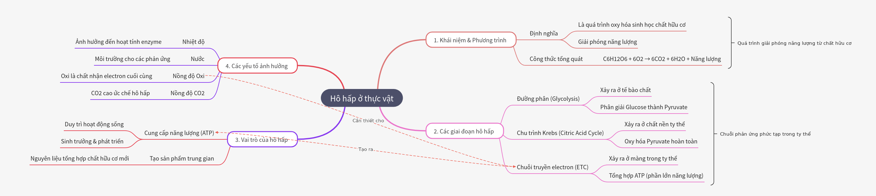 Plant Respiration: Essential Biological Process