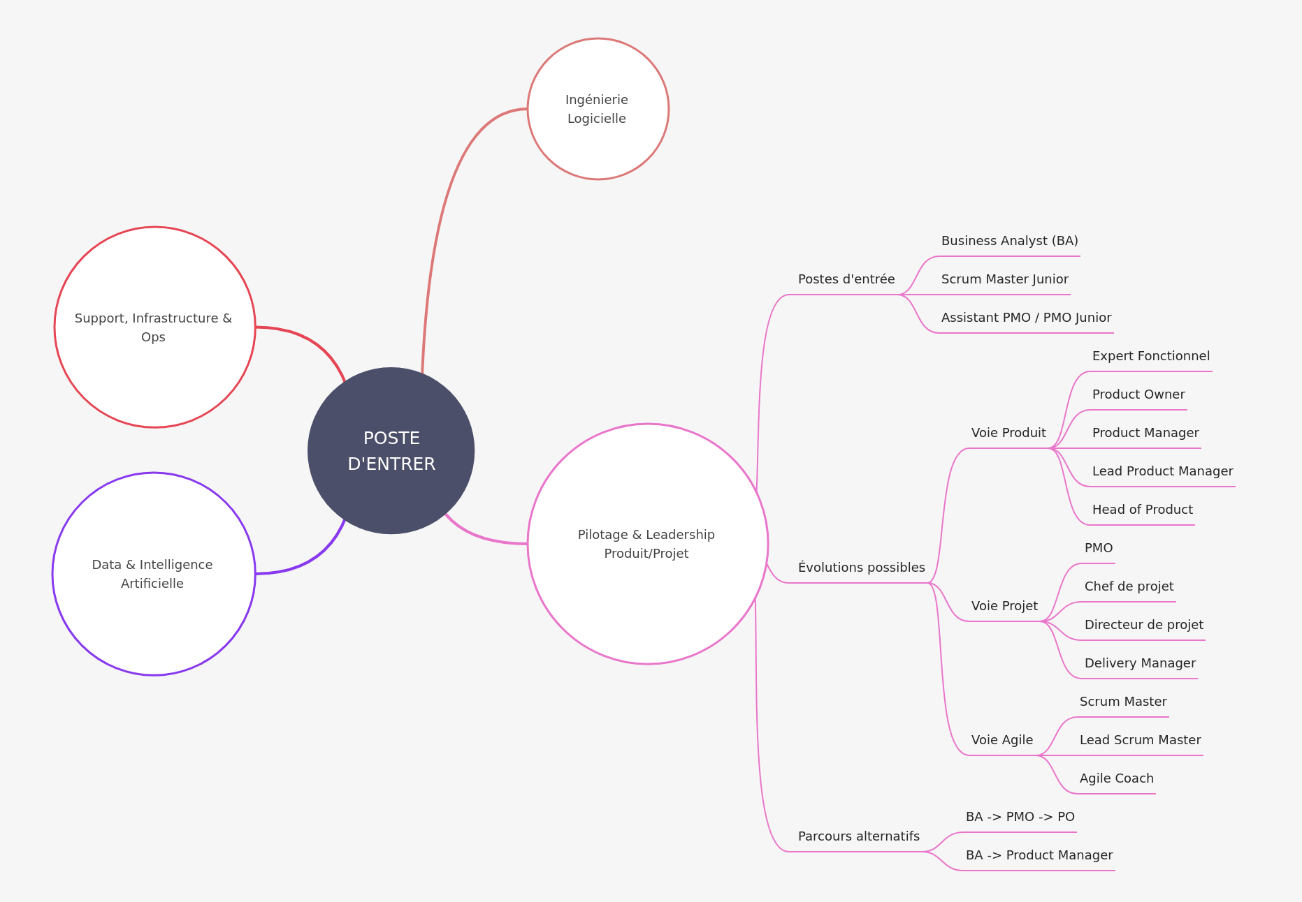 Tech Career Paths: Entry-Level to Leadership & Specialist
