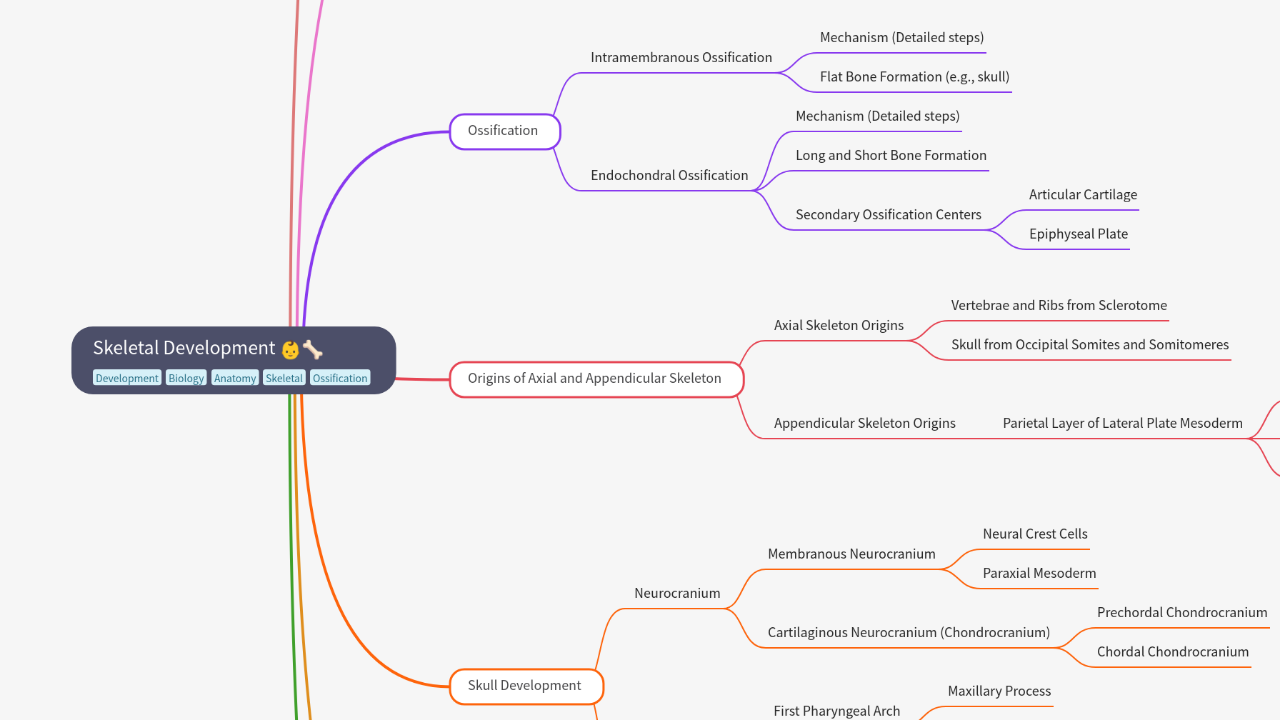 Mind Map:Skeletal Development ...