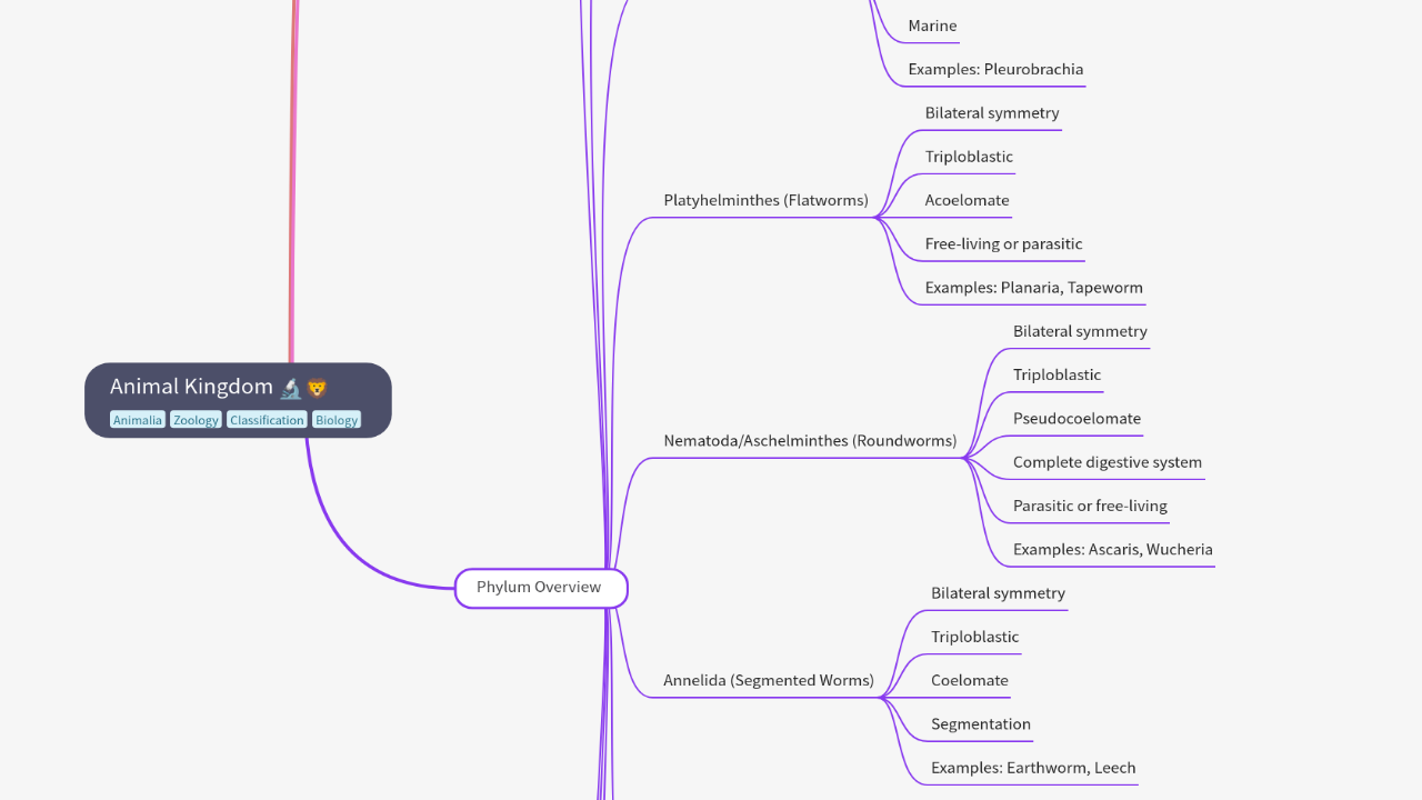 Mind Map:Animal Kingdom ...