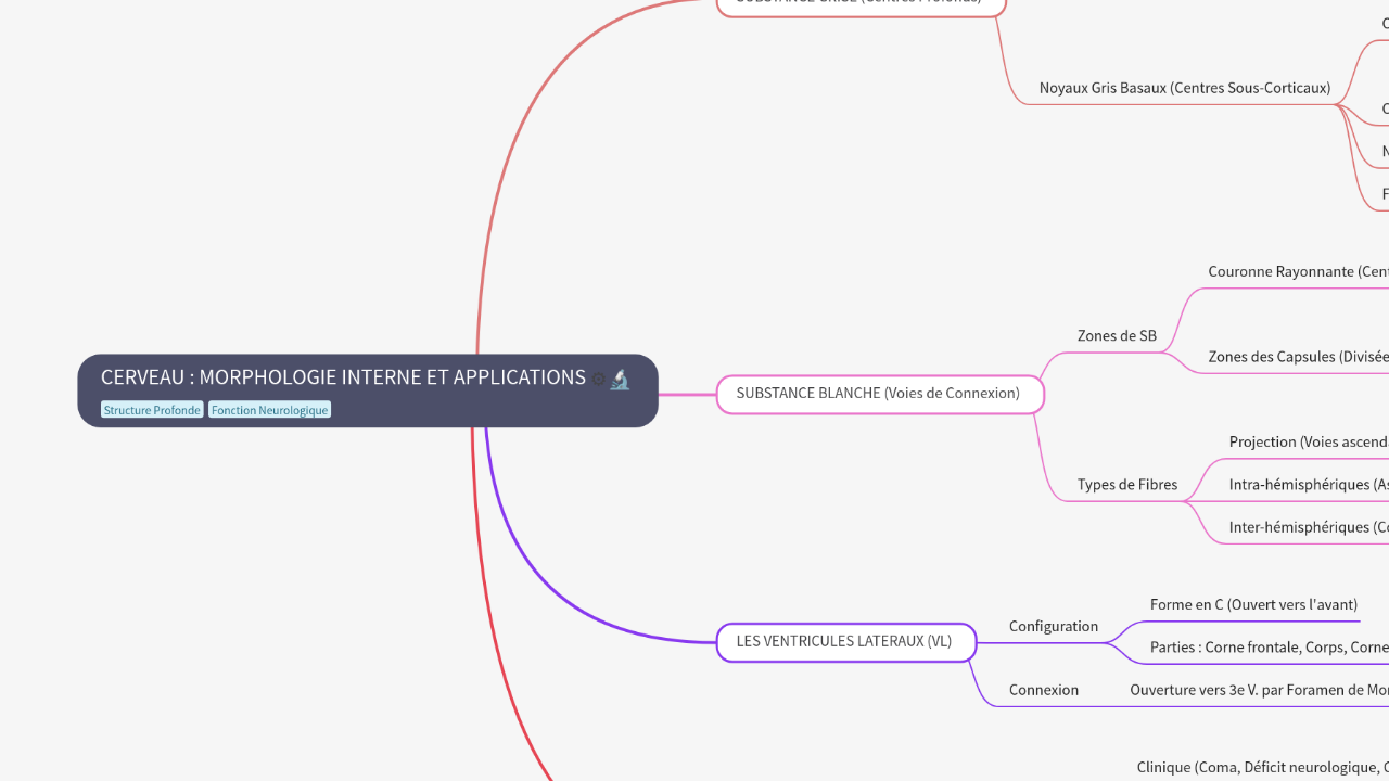 Mind Map:CERVEAU : MORPHOLOGIE INTERNE ET APPLICATIONS ...