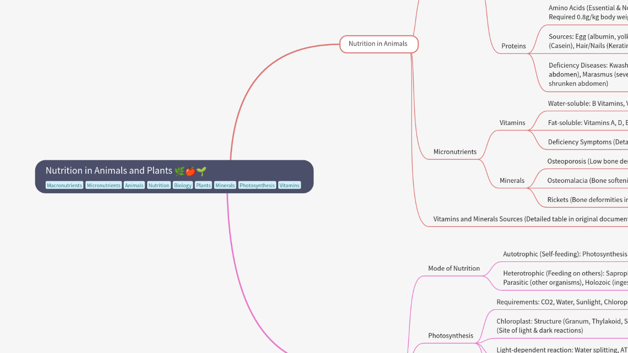 Mind Map:Nutrition in Animals and Plants ...
