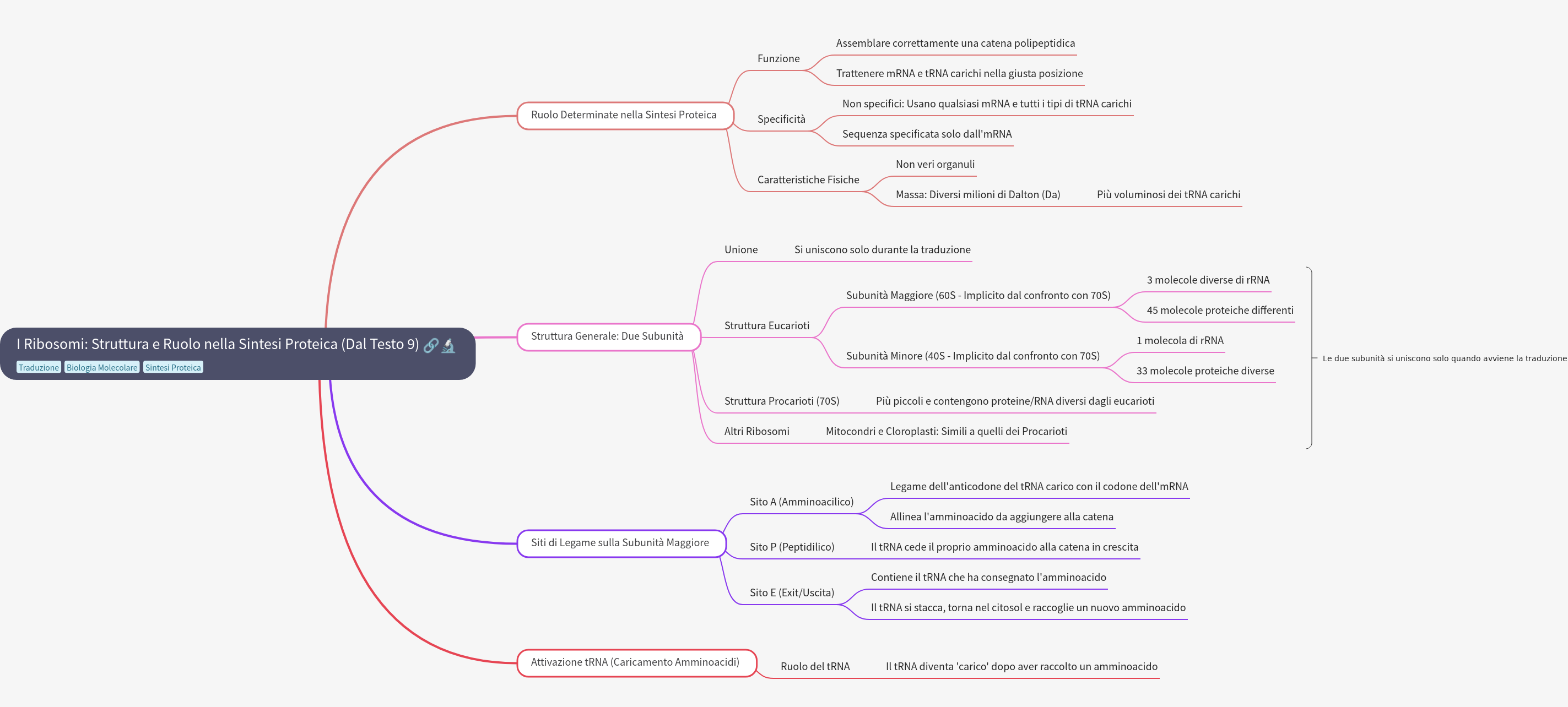 Ribosomes: Structure and Role in Protein Synthesis