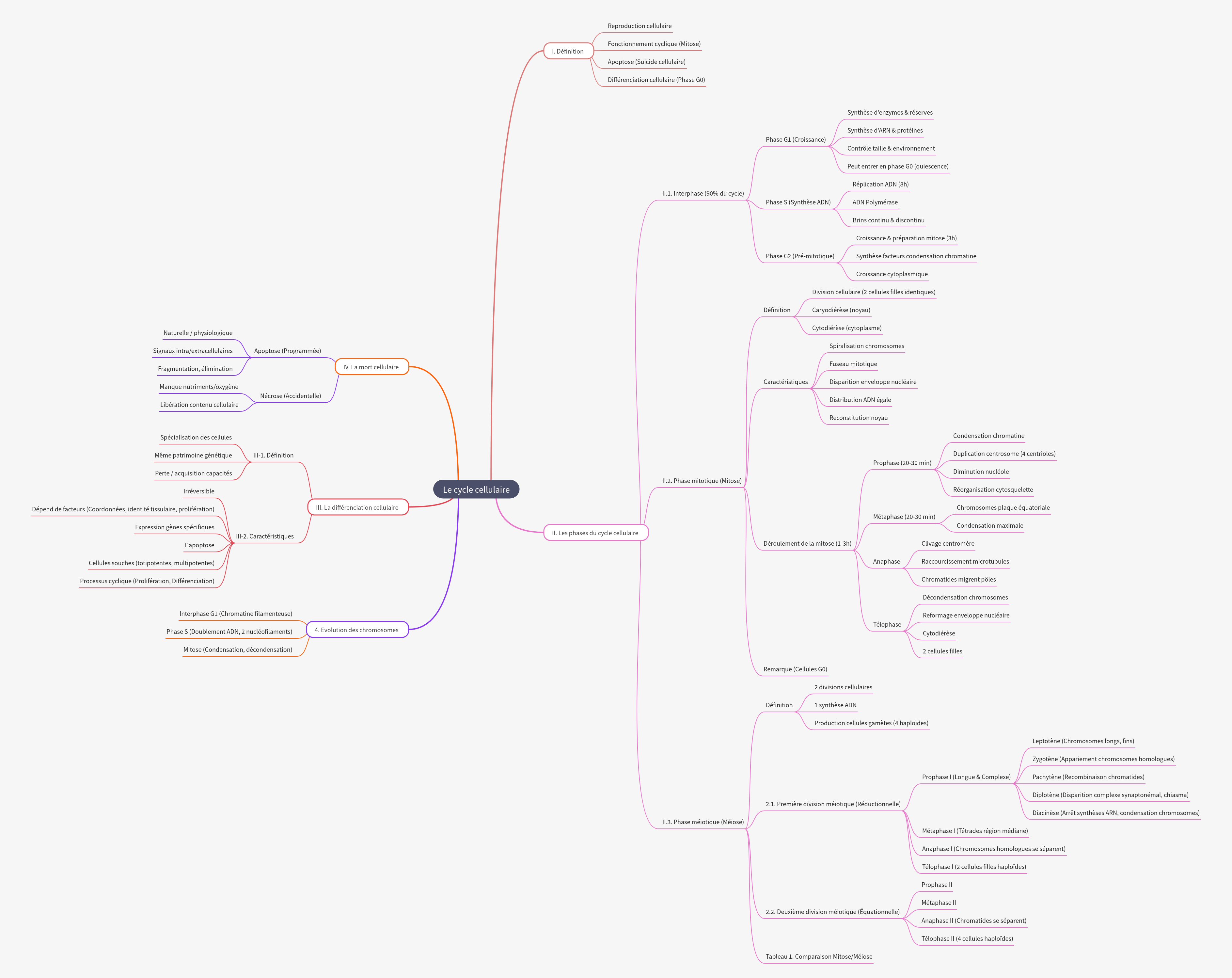 Understanding the Cell Cycle: Phases, Differentiation, and Death