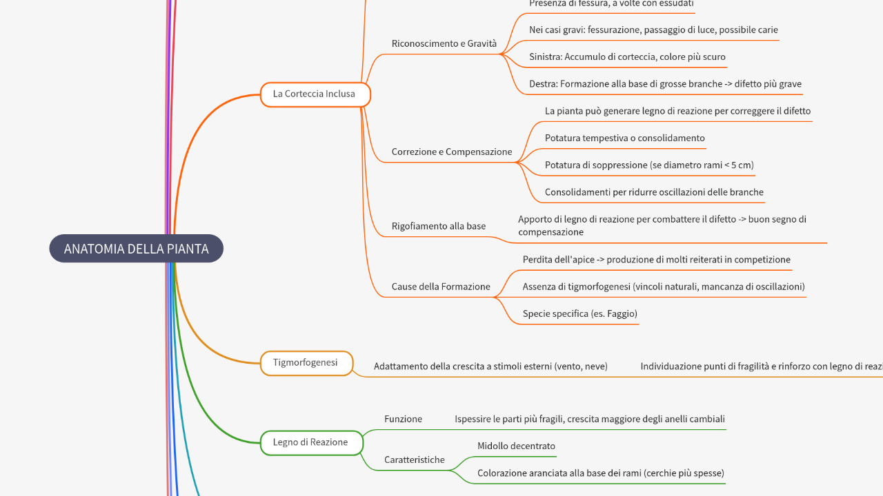 Mind Map:ANATOMIA DELLA PIANTA ...