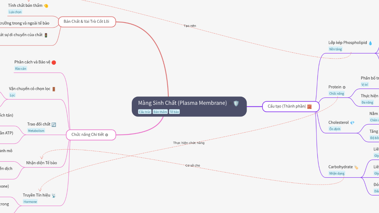 Màng Sinh Chất (Plasma Membrane)
