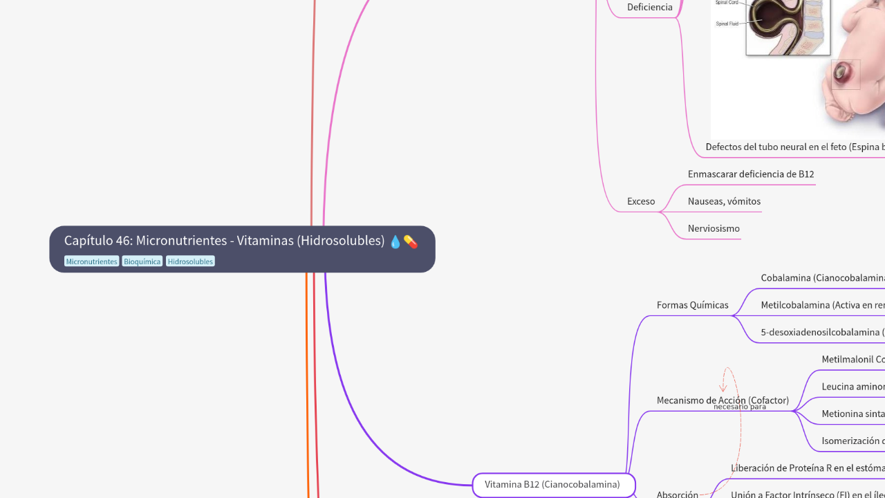 Mind Map:Capítulo 46: Micronutrientes - Vitaminas (Hidrosolubles) ...