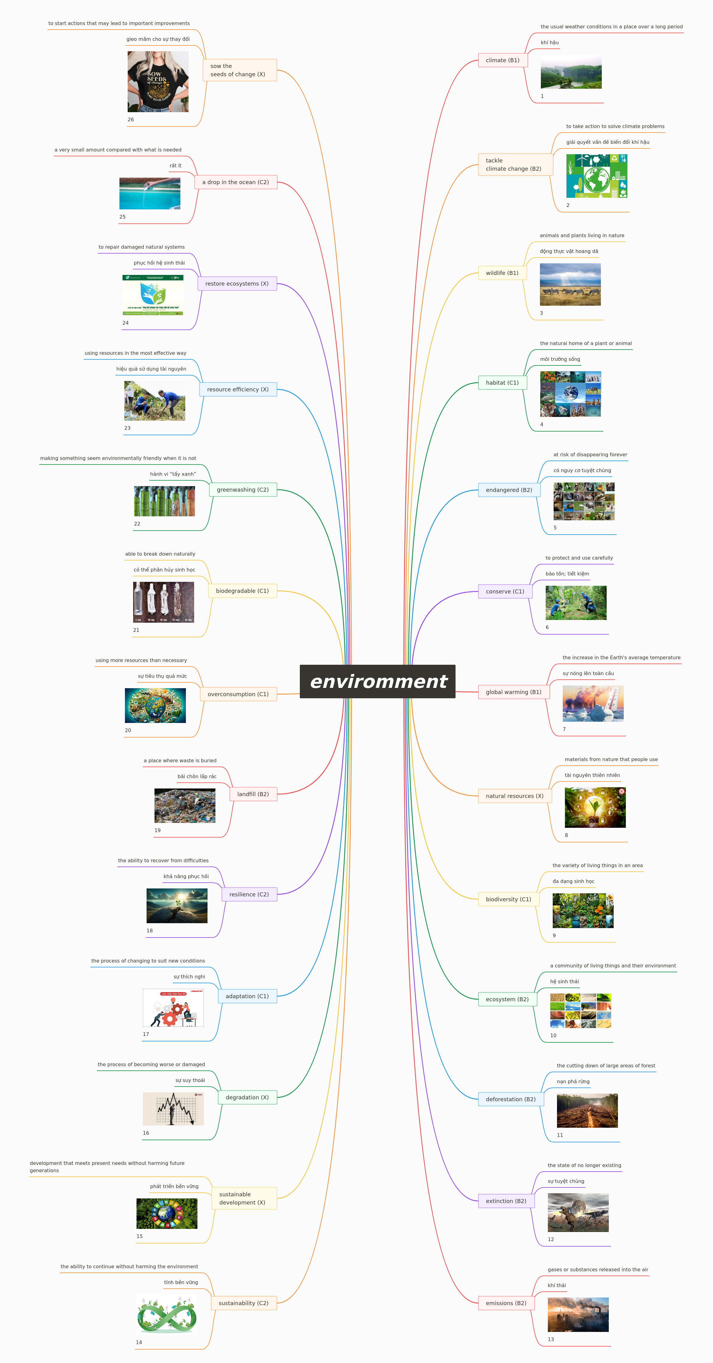 Essential Environmental Terms Explained