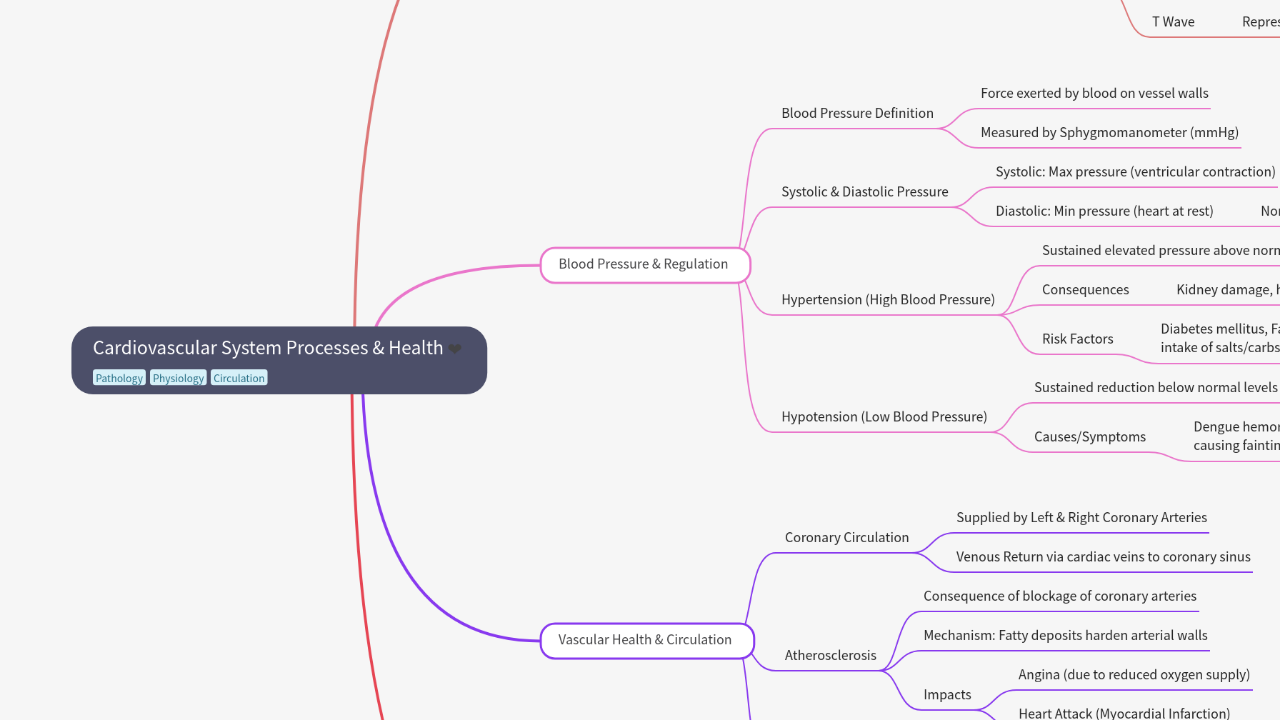 Cardiovascular System Processes & Health