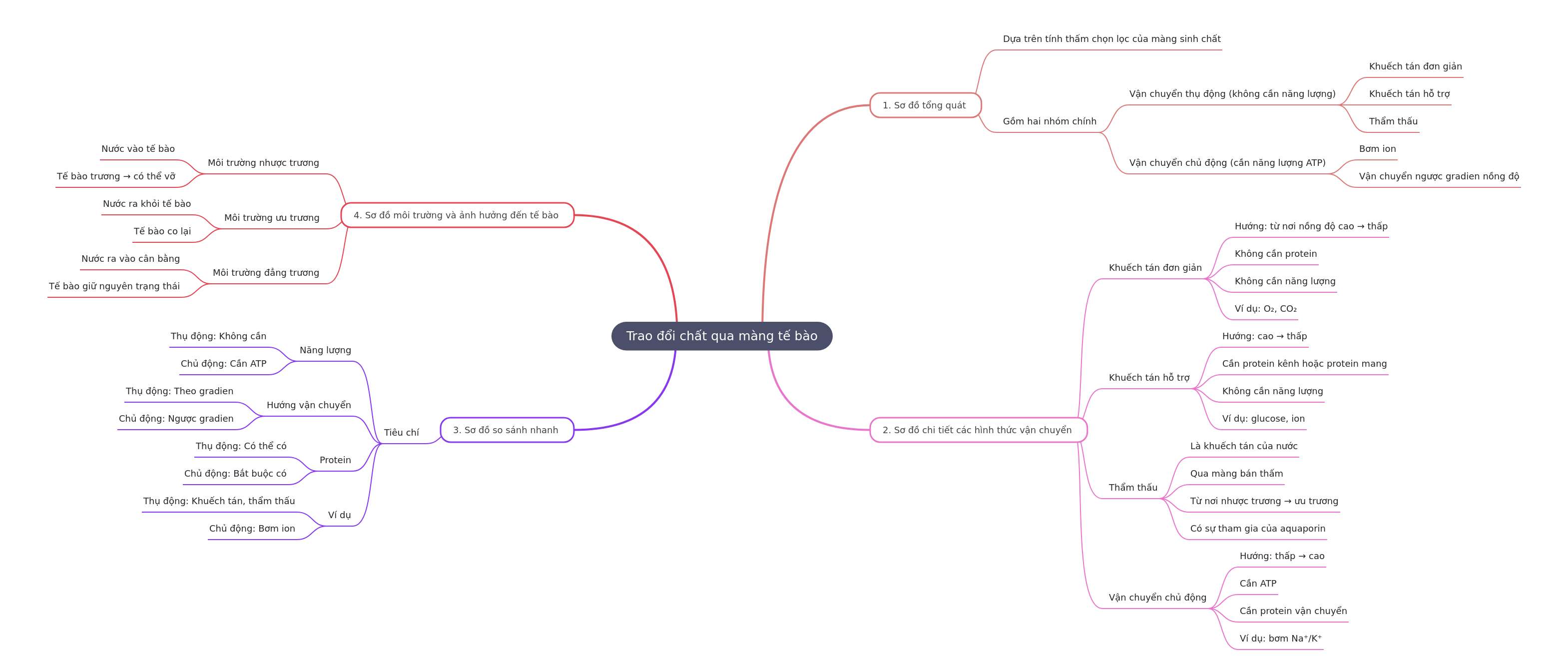 Cell Membrane Transport Mechanisms