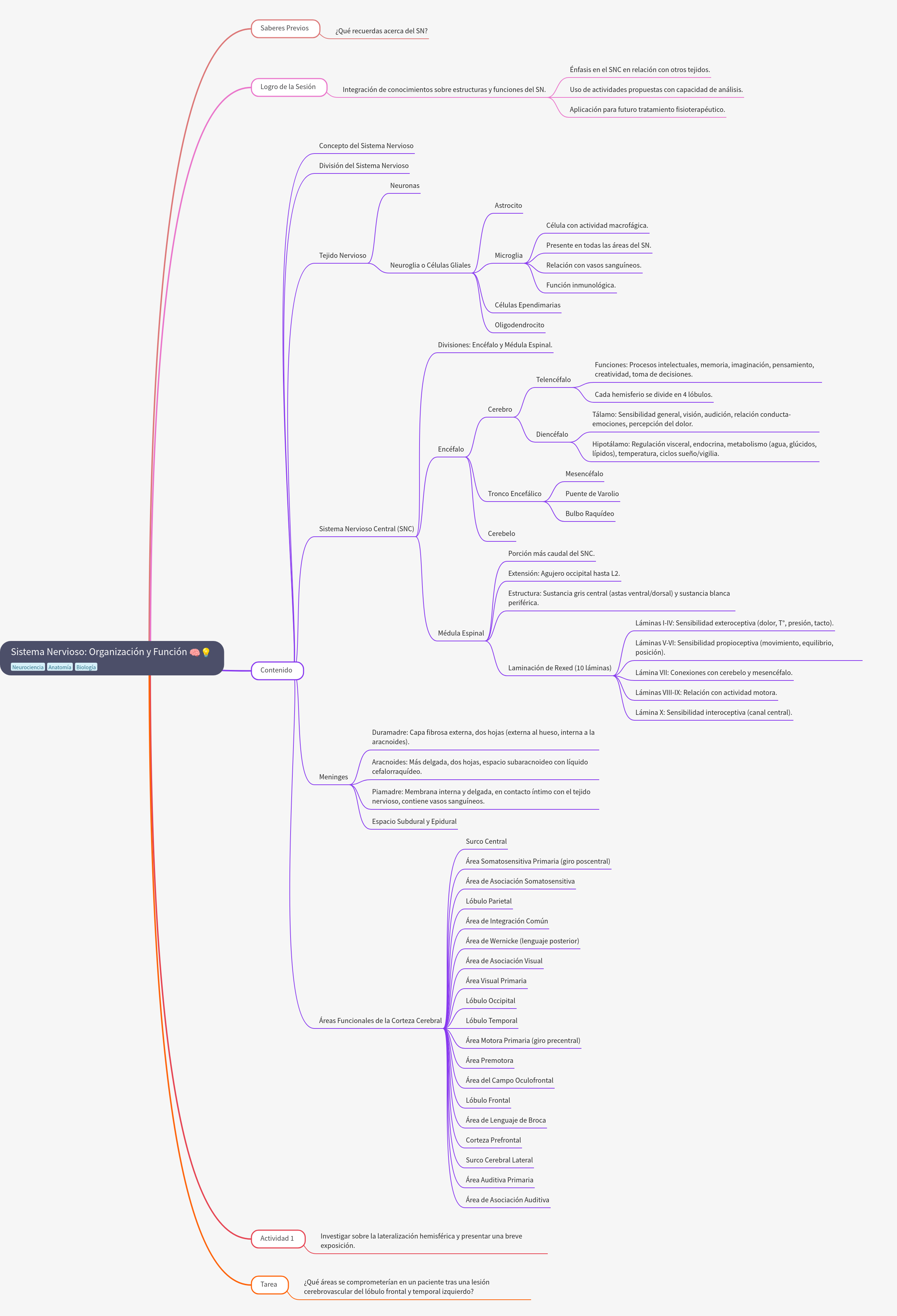 Nervous System: Organization and Function