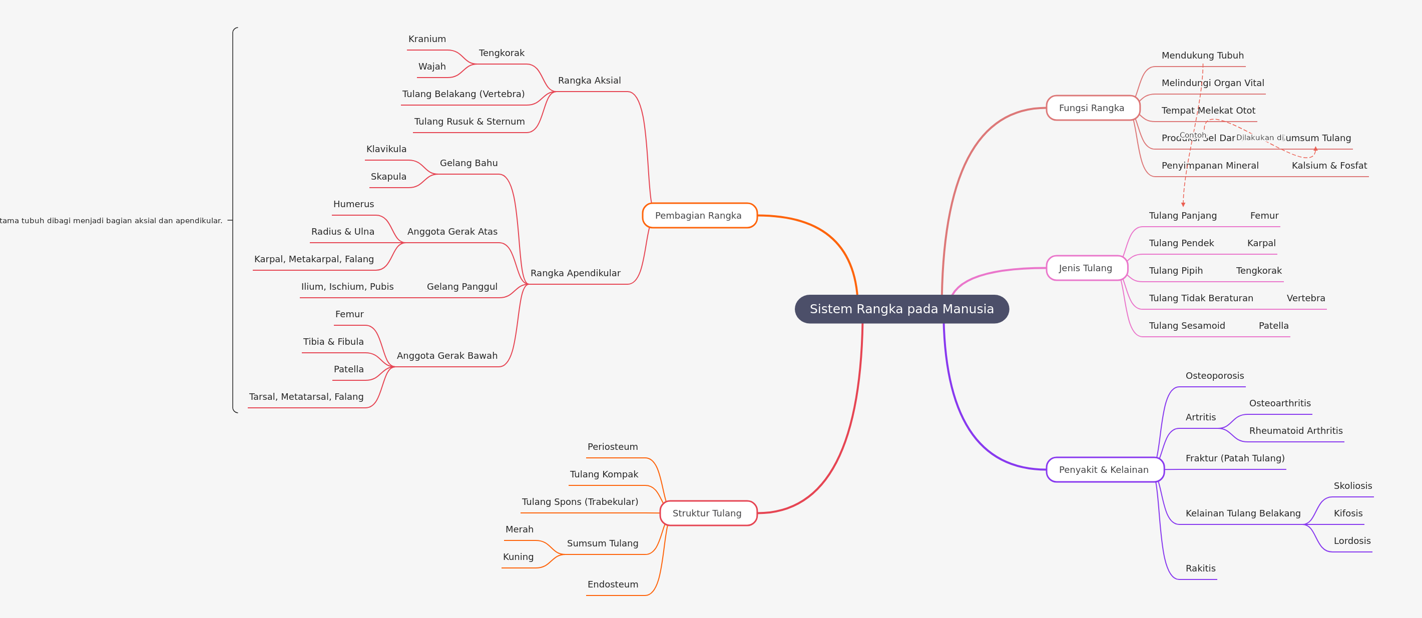 Sistem Rangka Manusia: Fungsi, Struktur, dan Penyakit