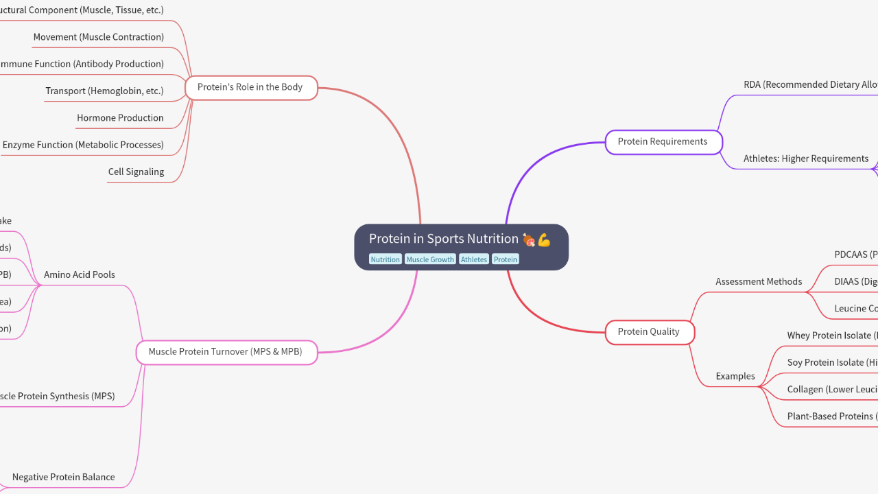 Mind Map:Protein in Sports Nutrition ...