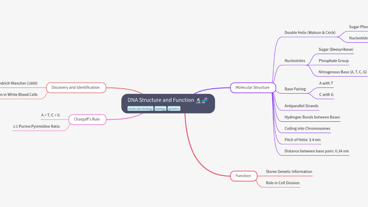 Mind Map:DNA Structure and Function ...