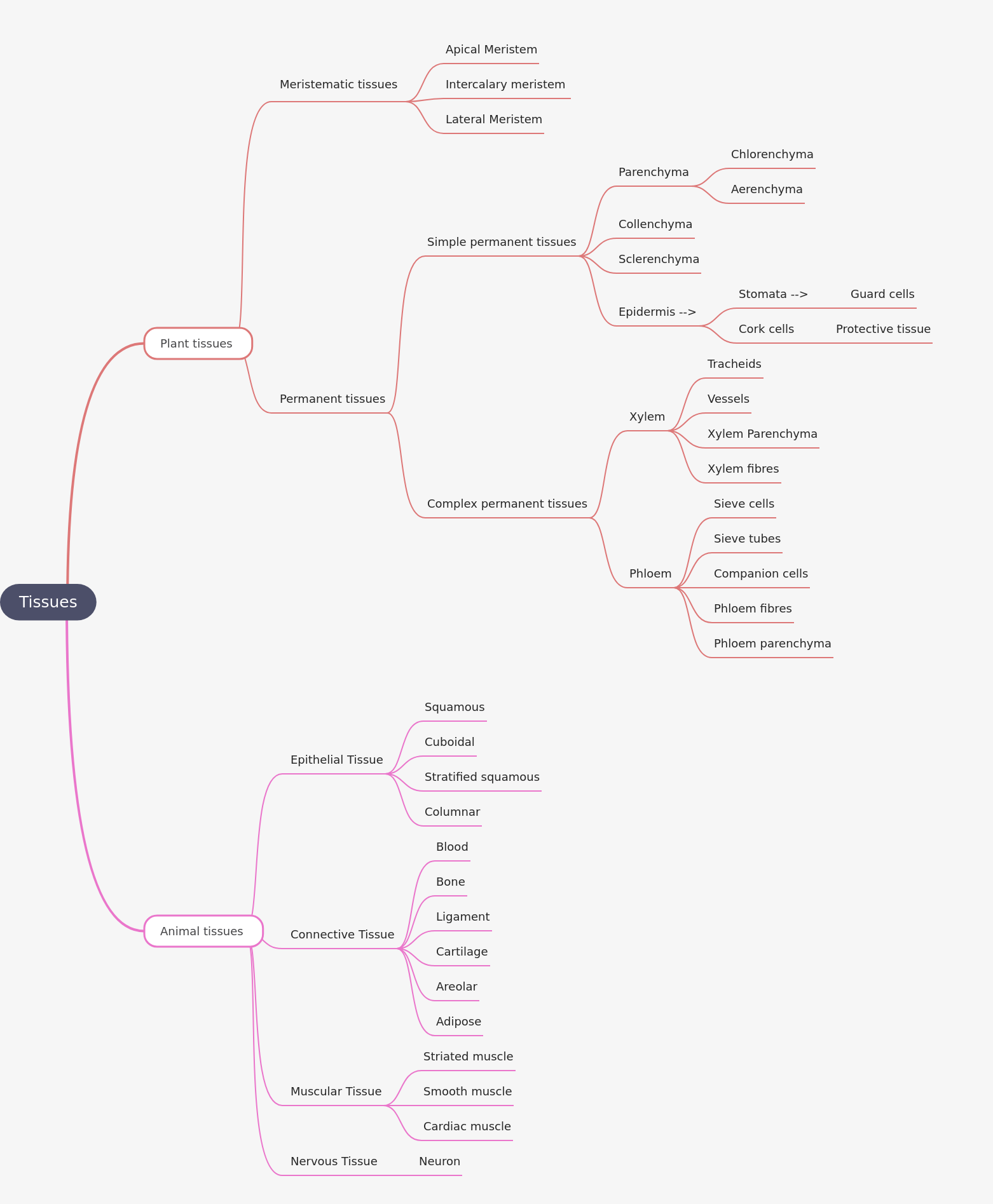Understanding Biological Tissues: Plants and Animals
