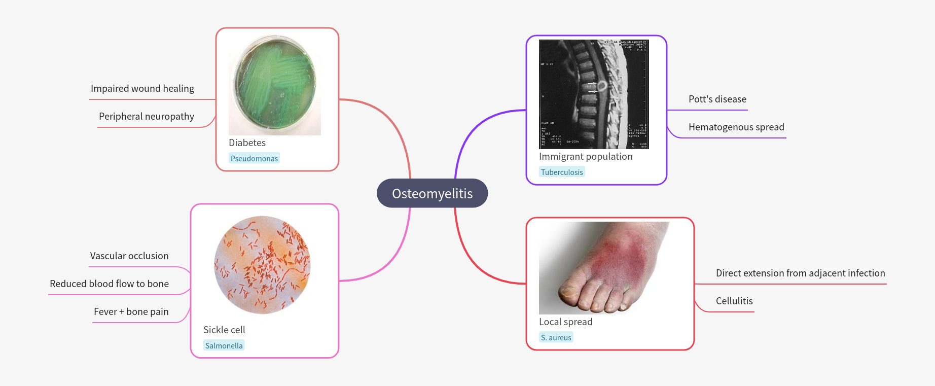 Osteomyelitis: Causes, Risk Factors, and Spread