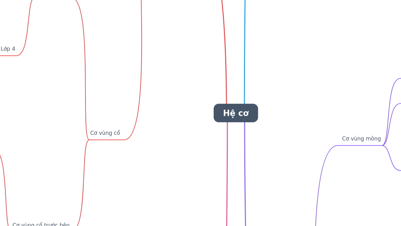 Mind Map:Hệ cơ ...
