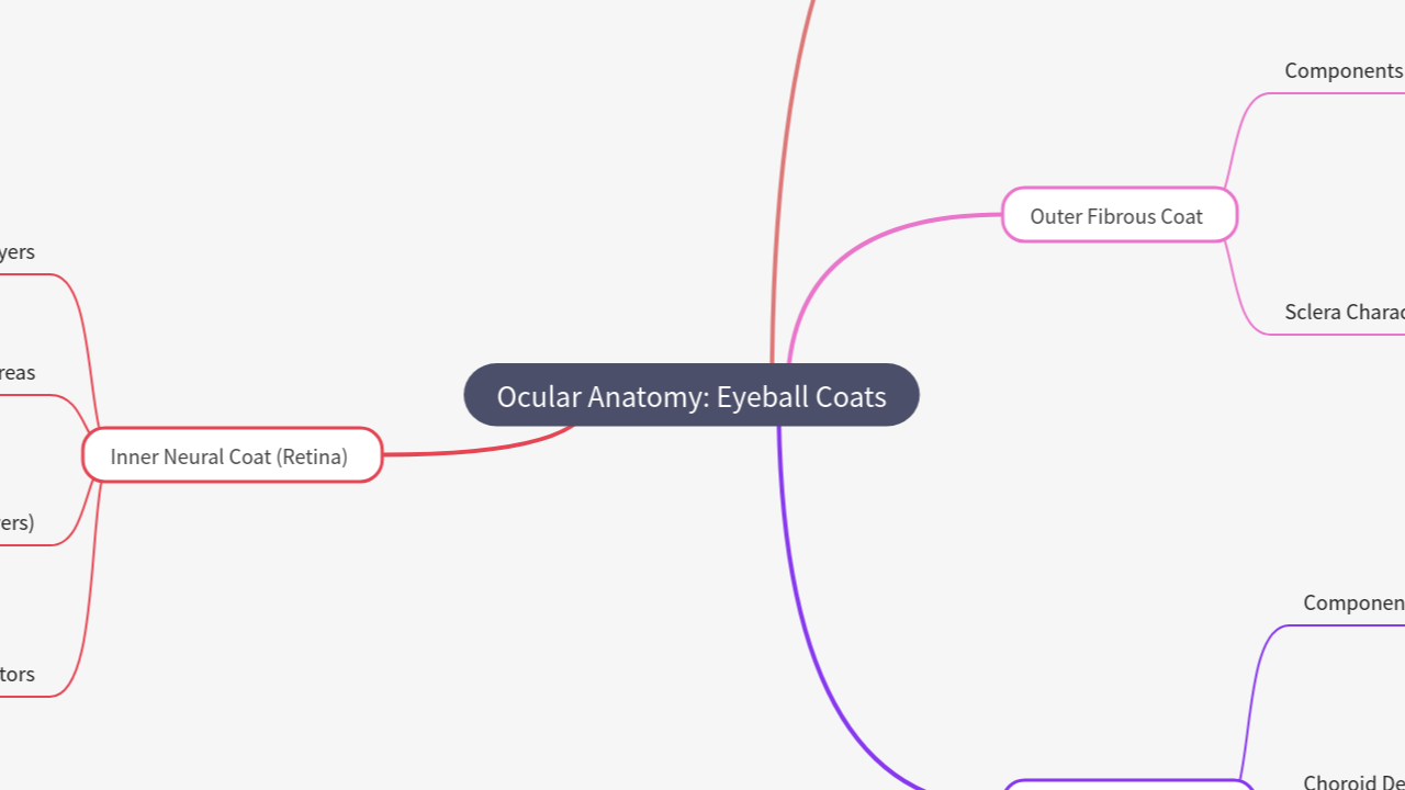 Mind Map:Ocular Anatomy: Eyeball Coats ...