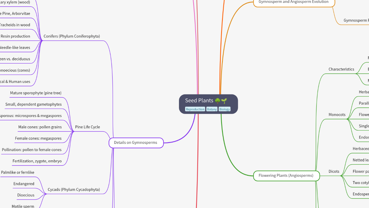 Mind Map:Seed Plants ...