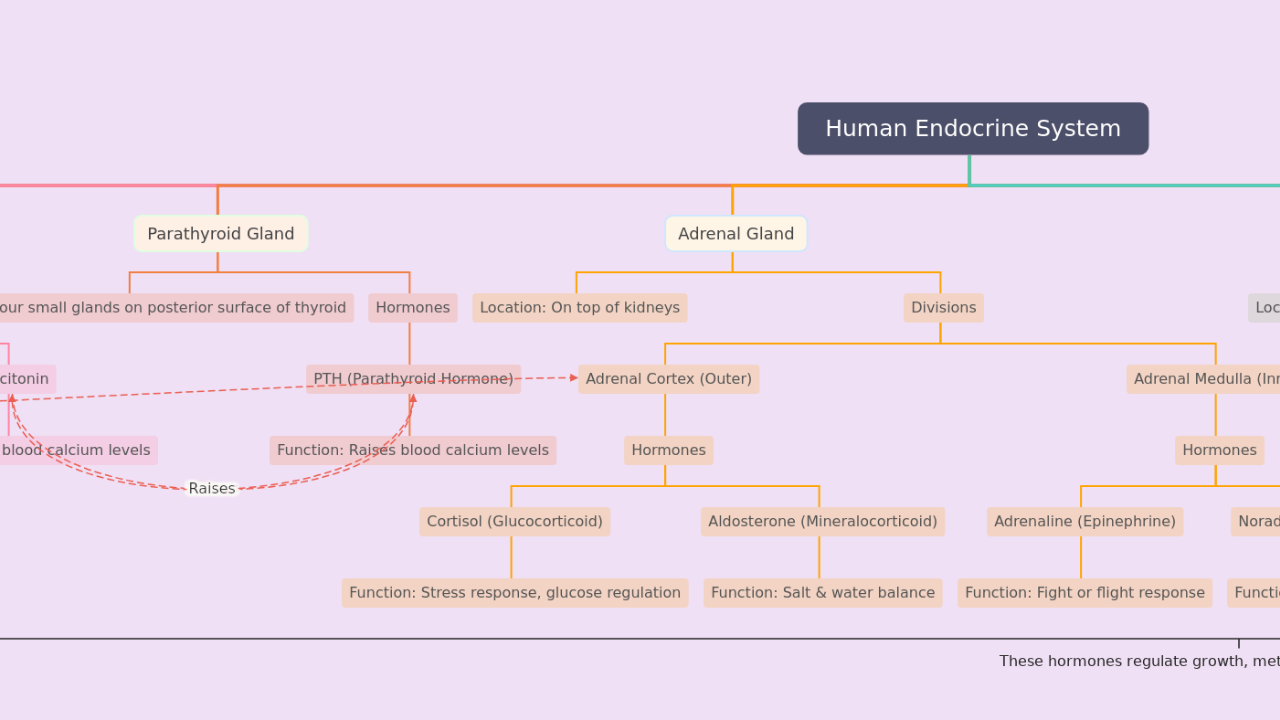 Mind Map:Human Endocrine System ...