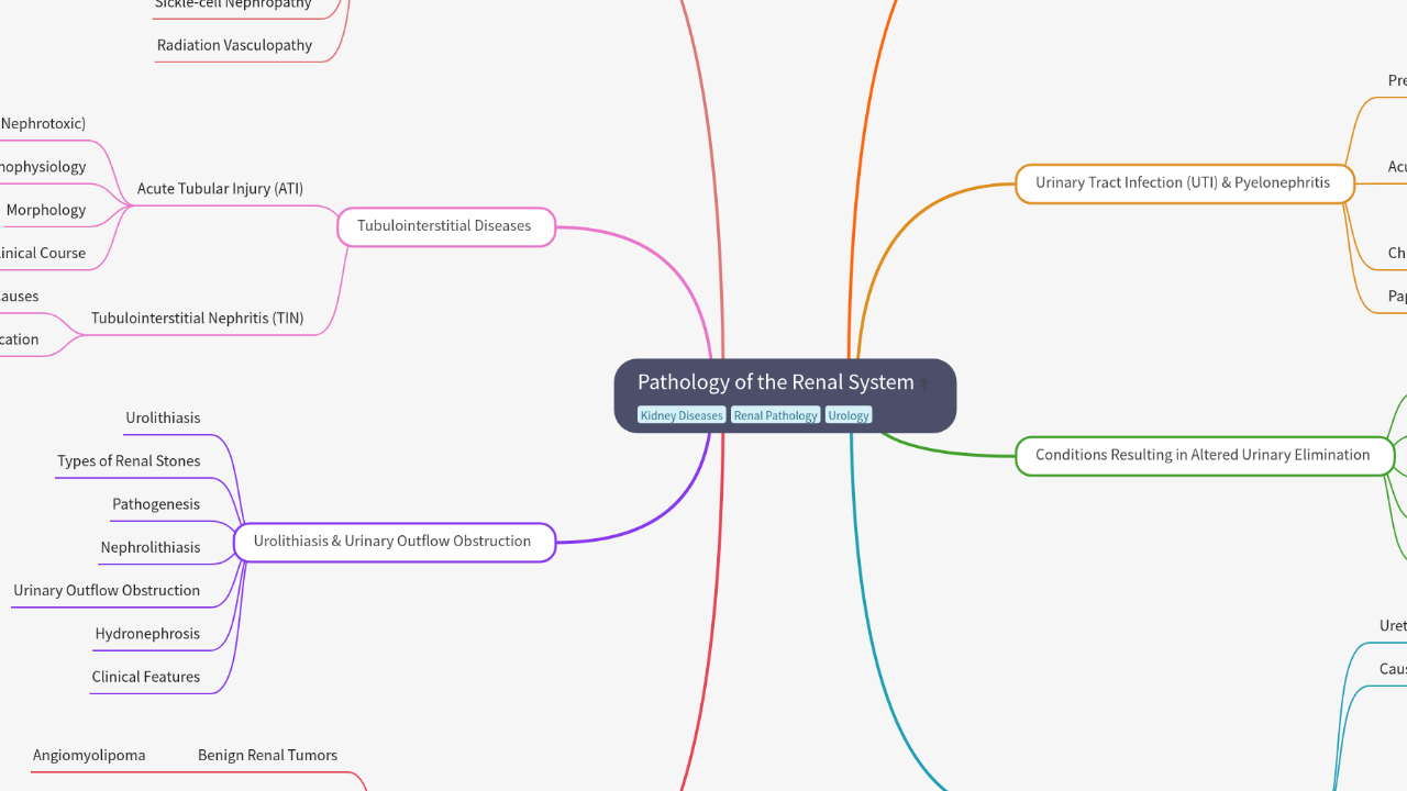 Mind Map:Pathology of the Renal System ...