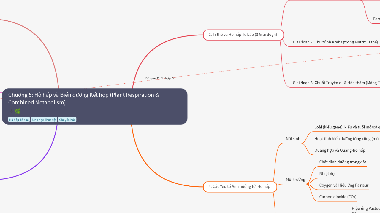 Mind Map:Chương 5: Hô hấp và Biến dưỡng Kết hợp (Plant Respiration & Combined Metabolism) ...