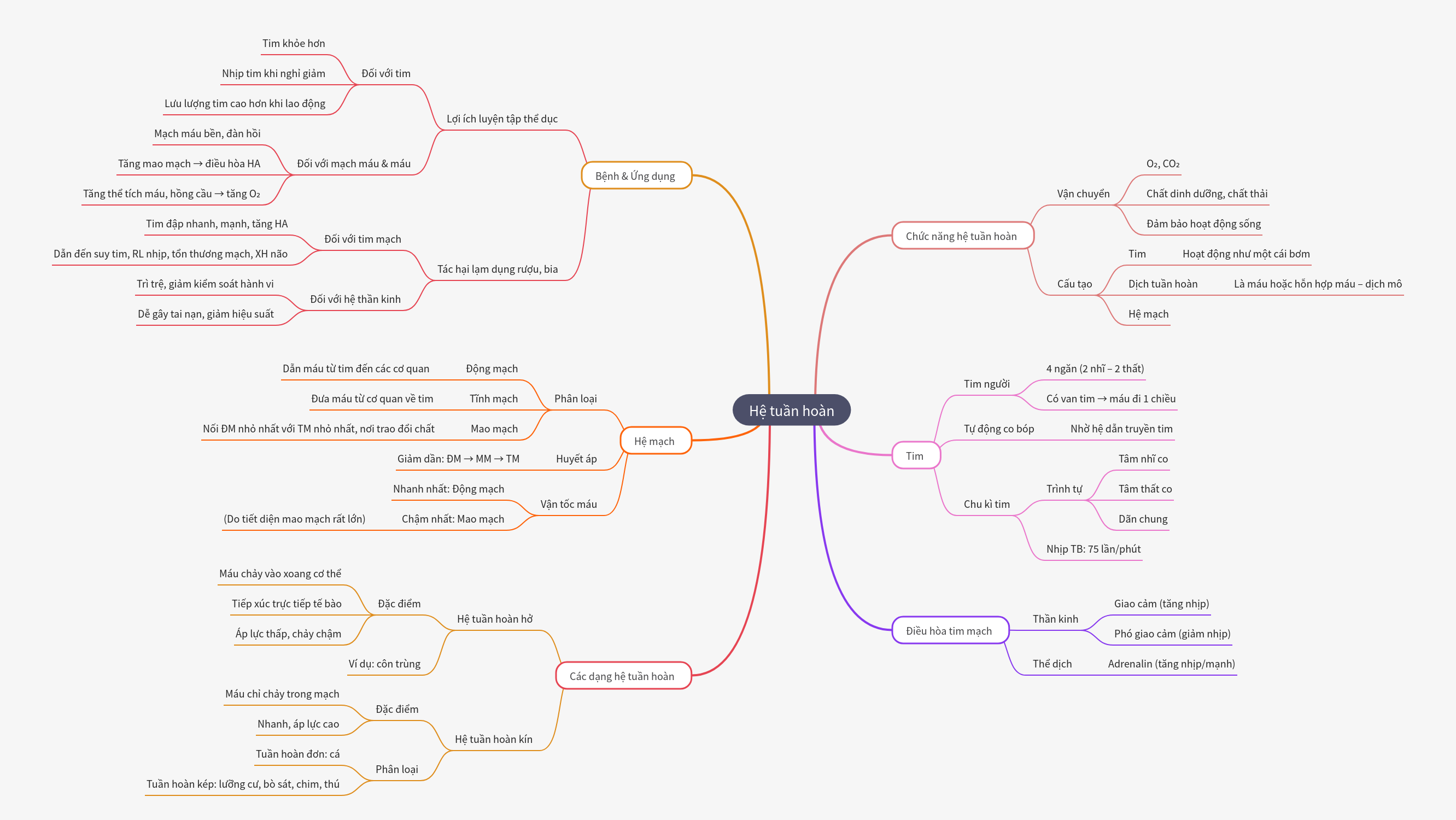 Comprehensive Guide to the Circulatory System