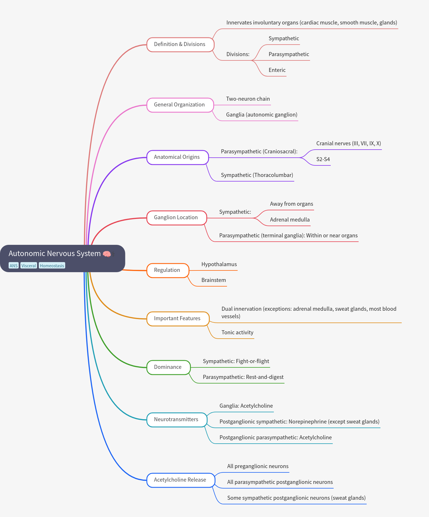 Autonomic Nervous System: A Comprehensive Guide