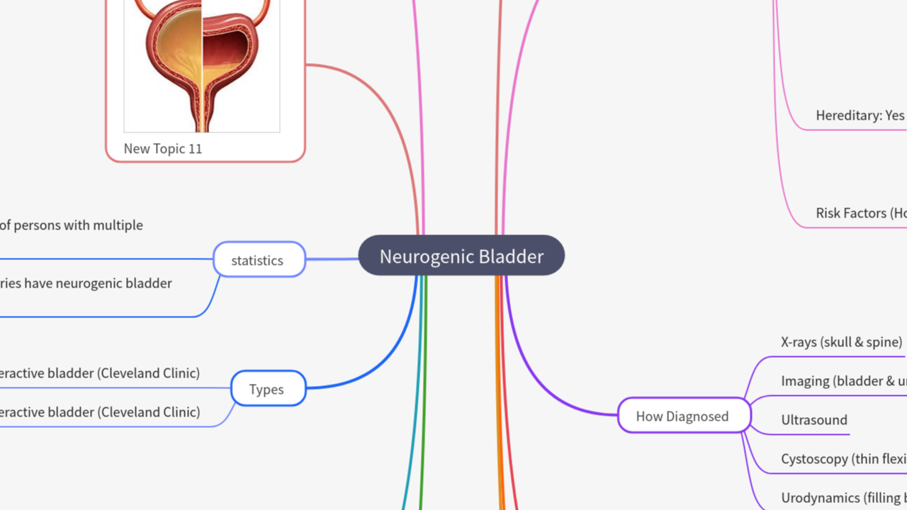 Mind Map:Neurogenic Bladder ...