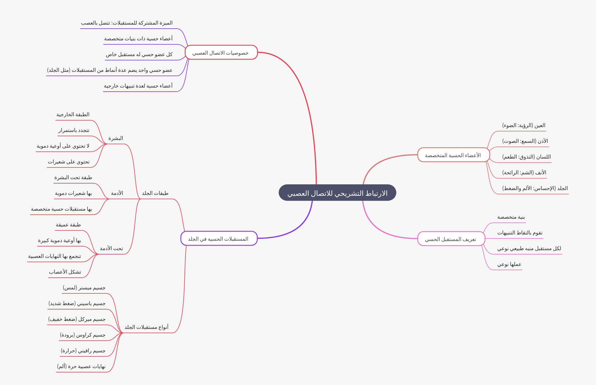 Anatomical Basis of Neural Communication