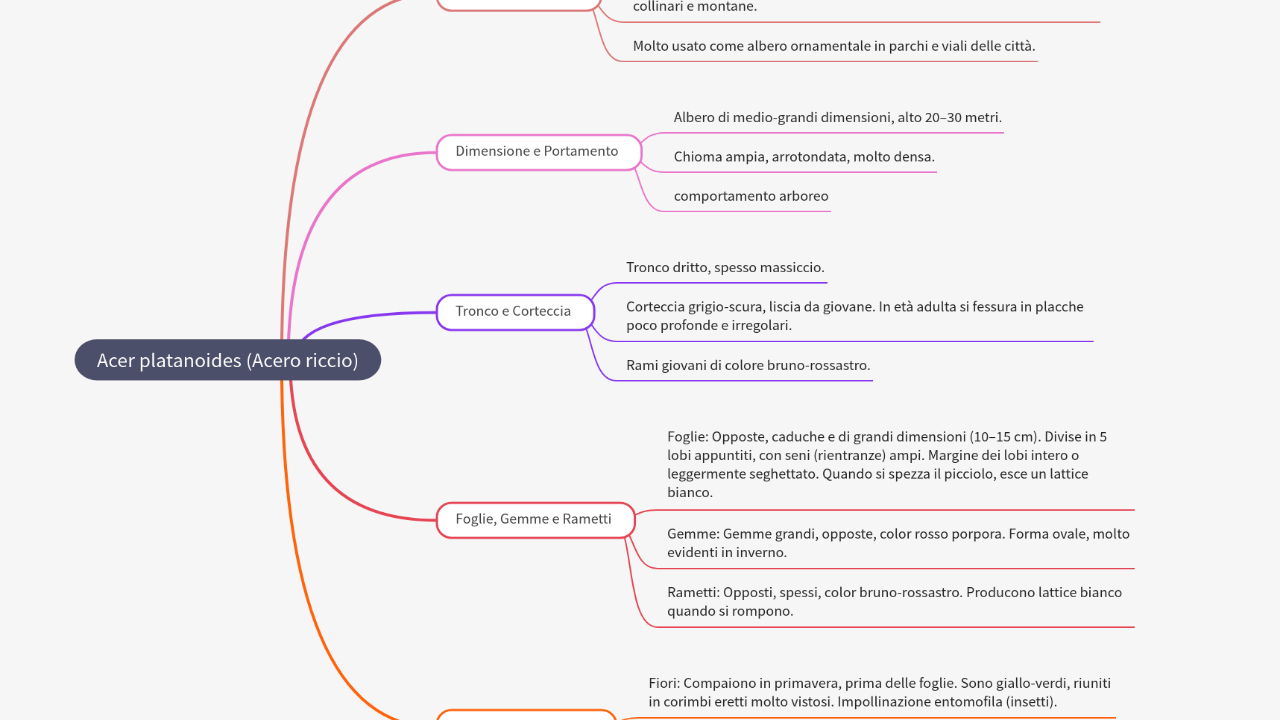 Mind Map:Acer platanoides (Acero riccio) ...