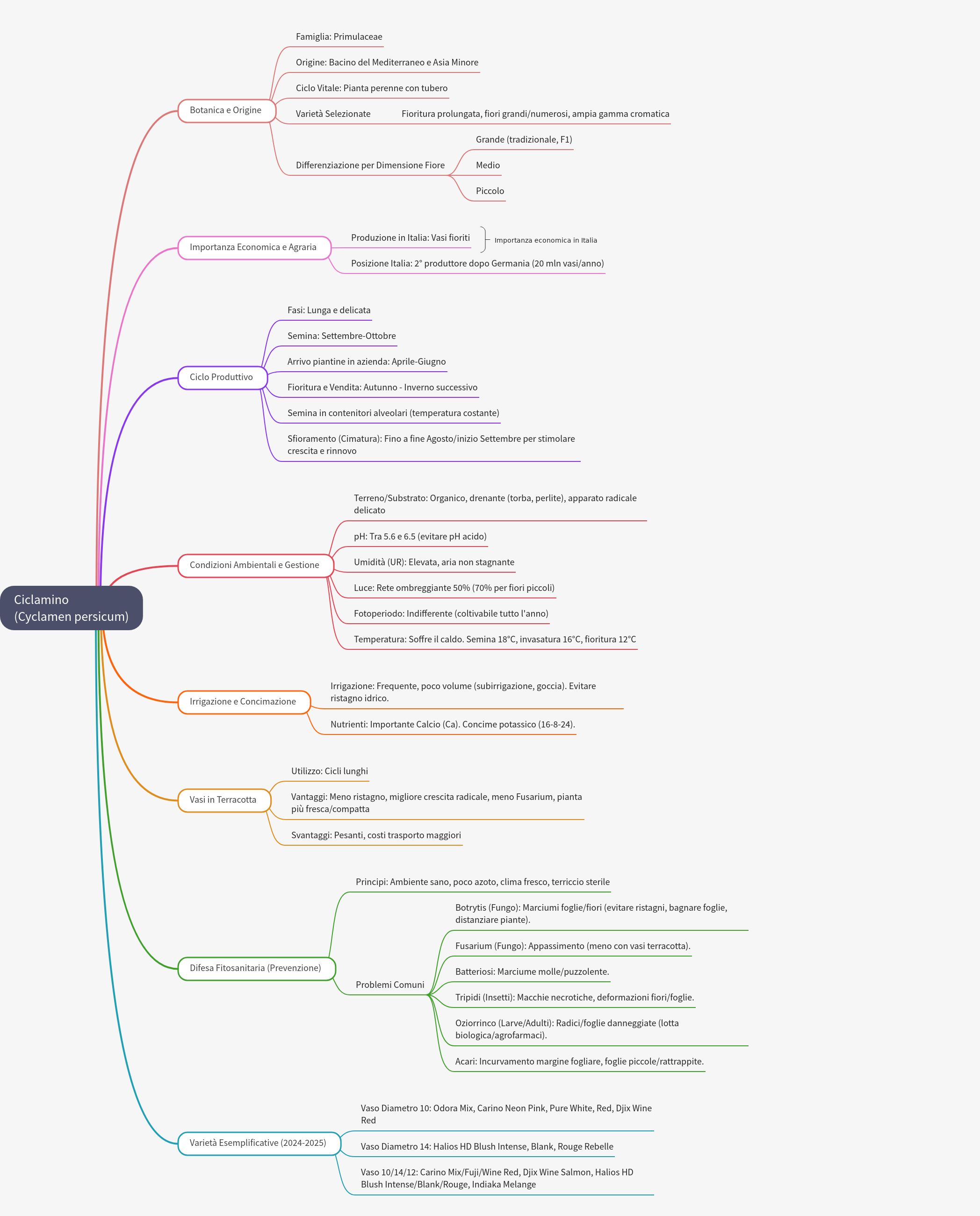 Ciclamino (Cyclamen persicum): Cultivation and Care Guide