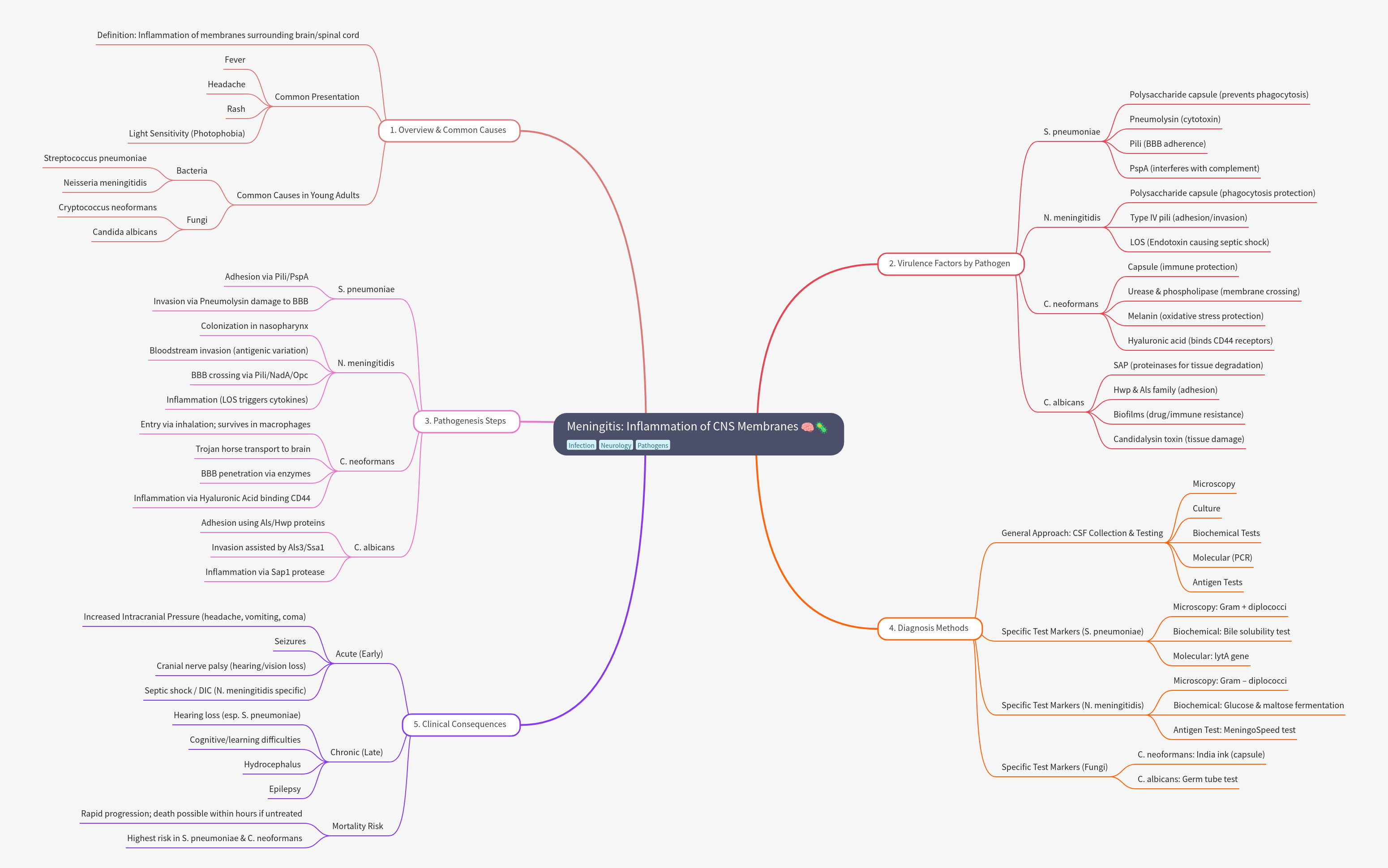 Meningitis: Causes, Pathogenesis, Diagnosis, and Outcomes
