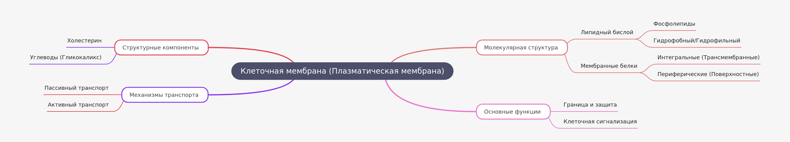 Cell Membrane: Structure, Function, and Transport