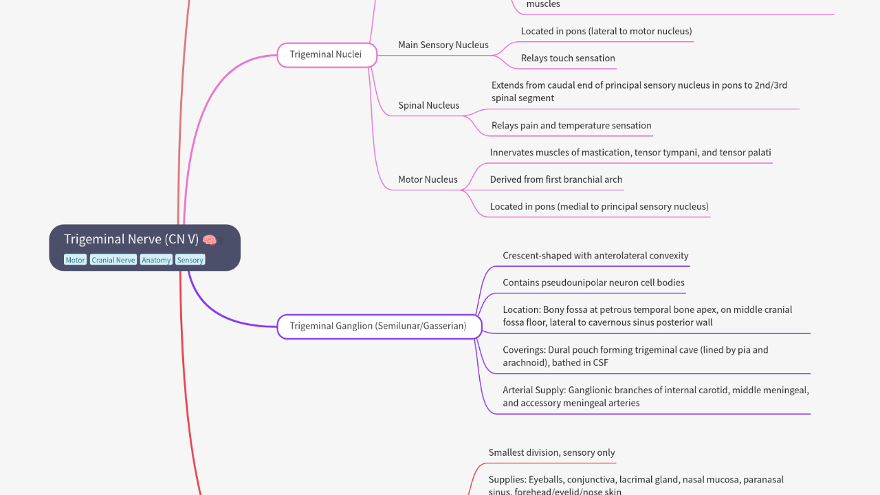 Mind Map:Trigeminal Nerve (CN V) ...