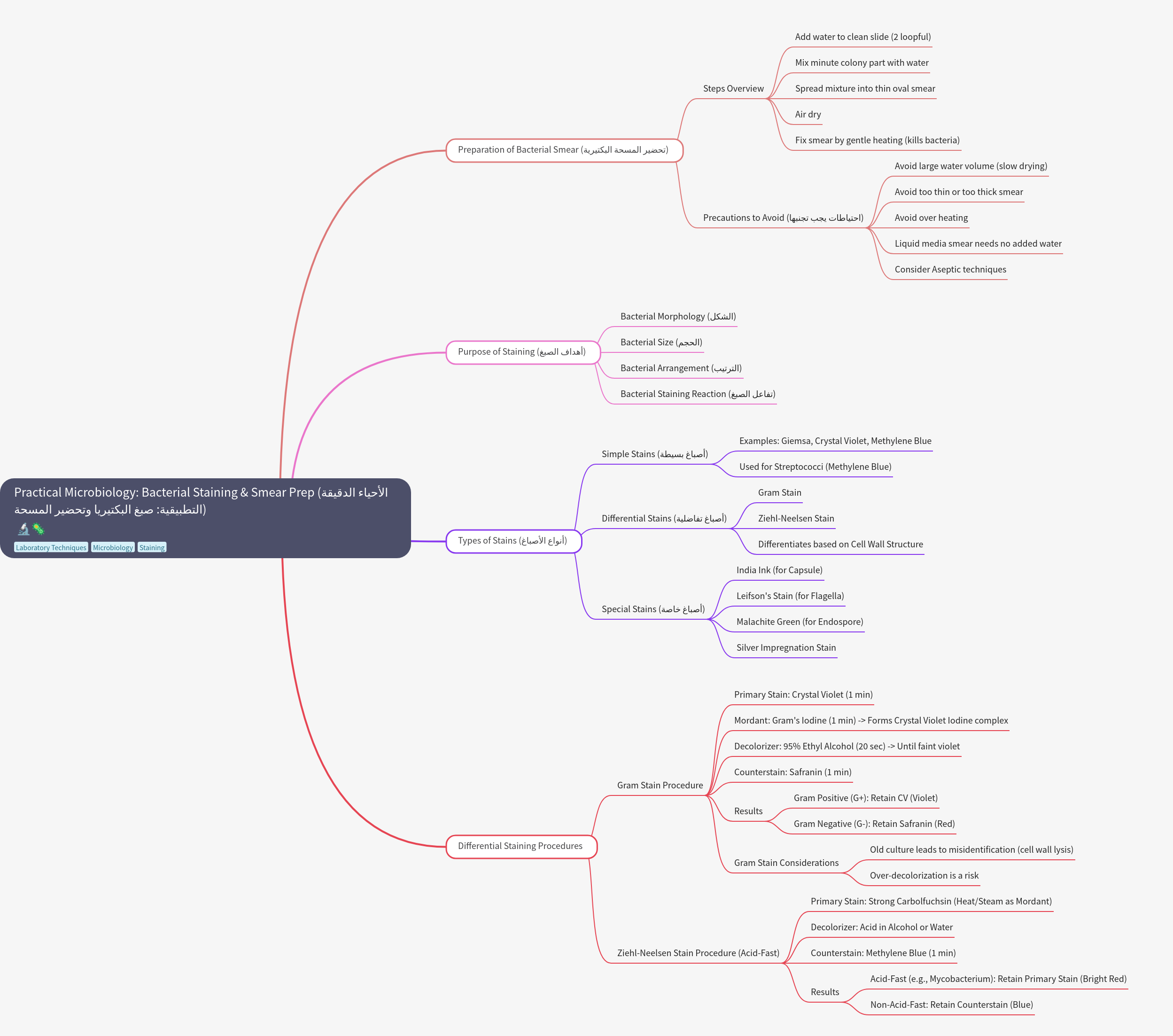 Practical Microbiology: Bacterial Staining and Smear Preparation