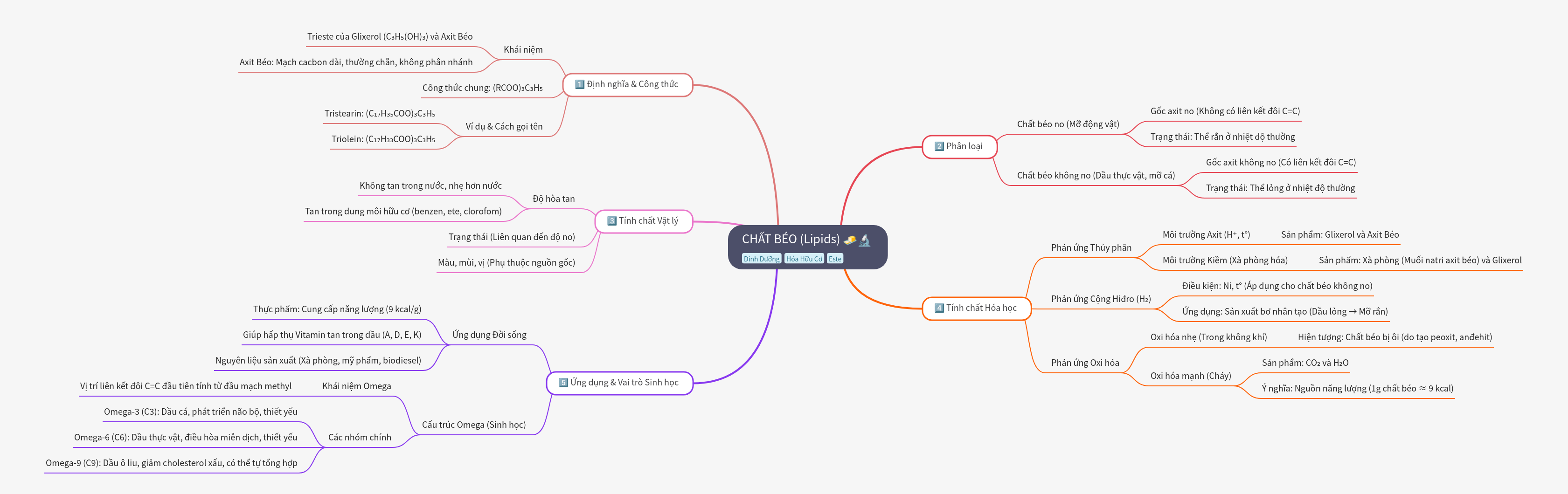 Lipids (Chất Béo): Definition, Properties, and Uses