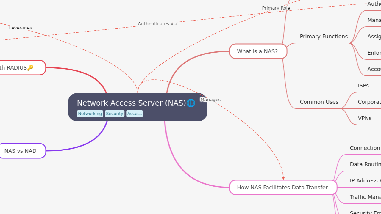 Network Access Server (NAS)