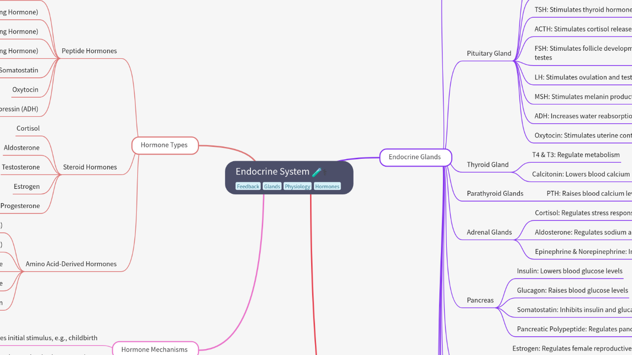 Mind Map:Endocrine System ...