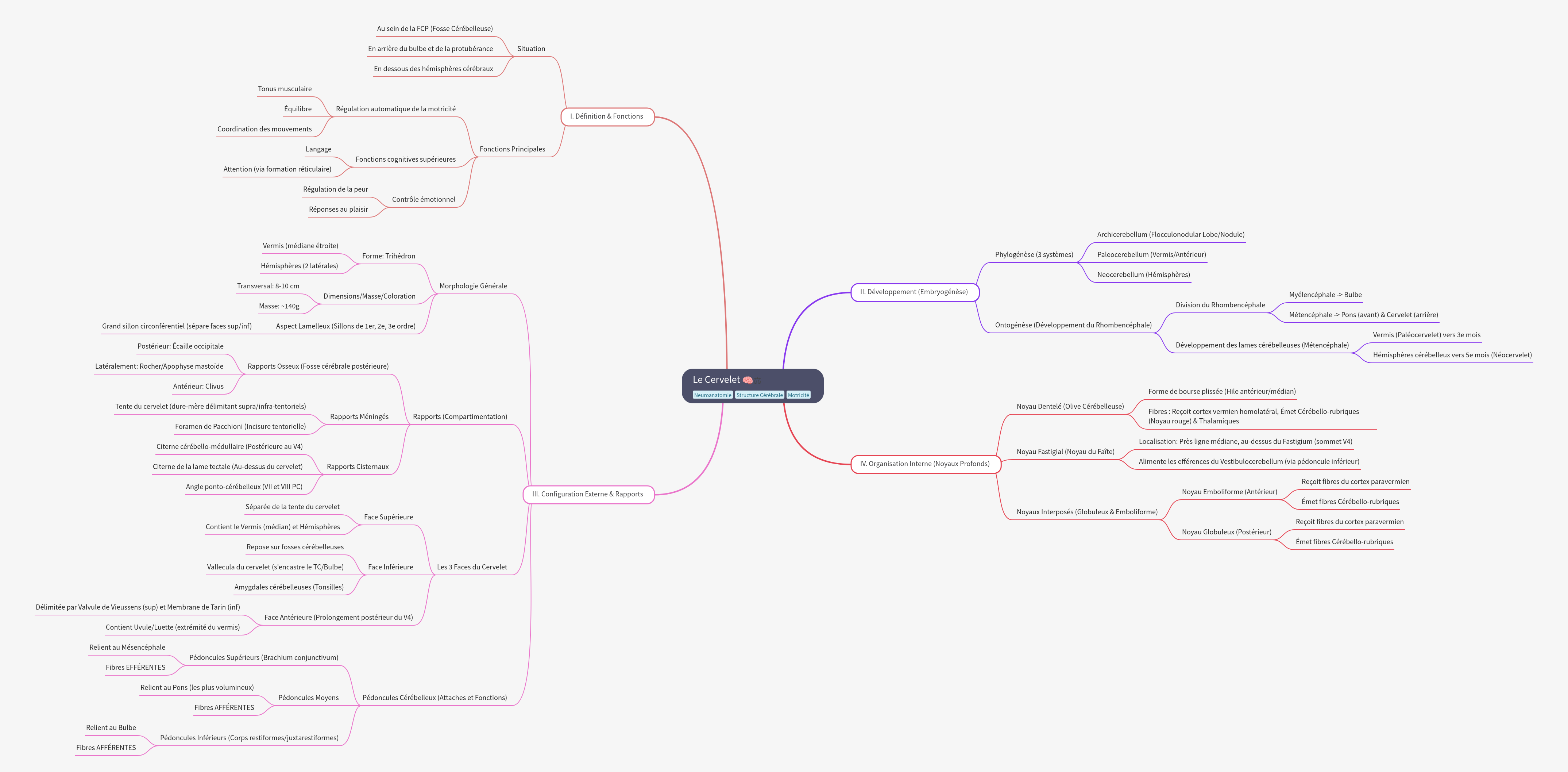 The Cerebellum: Structure, Function, Development, and Nuclei