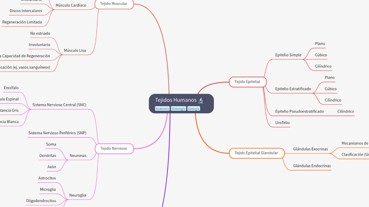 Mind Map:Tejidos Humanos ...