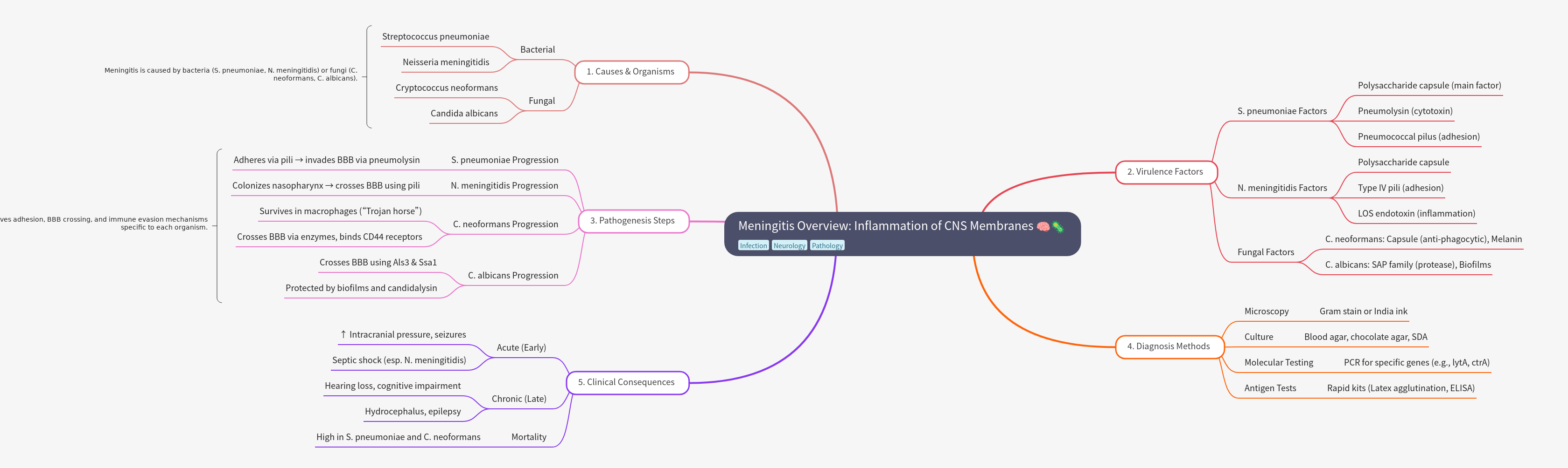 Meningitis Overview: Causes, Pathogenesis, and Diagnosis