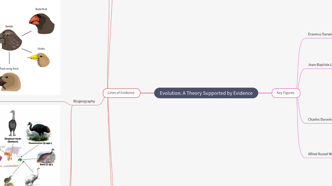 Mind Map:Evolution: A Theory Supported by Evidence ...