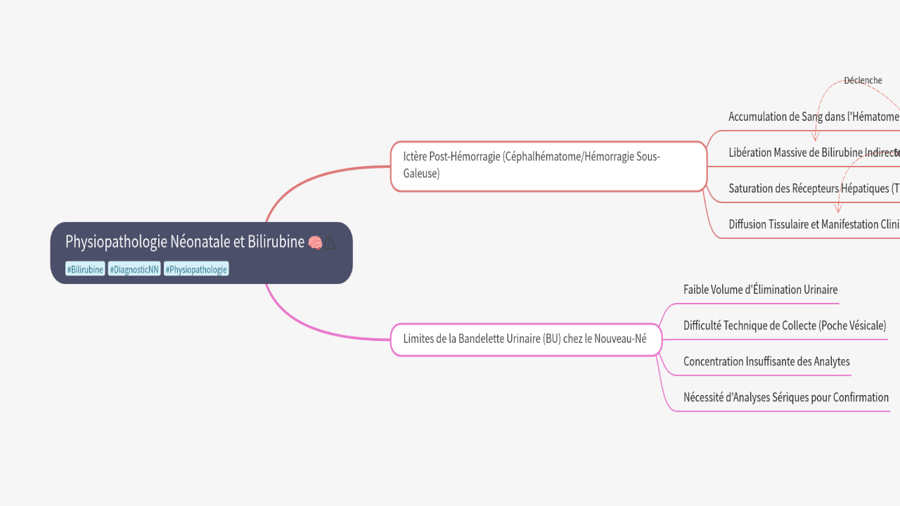 Mind Map:Physiopathologie Néonatale et Bilirubine ...