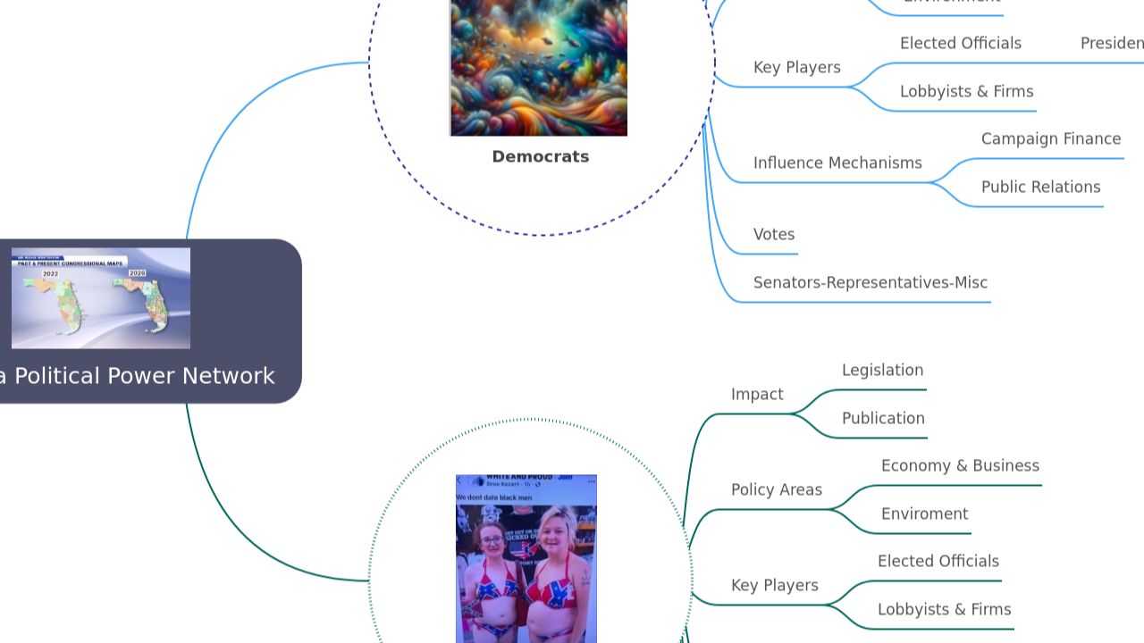 Mind Map:Florida Political Power Network ...