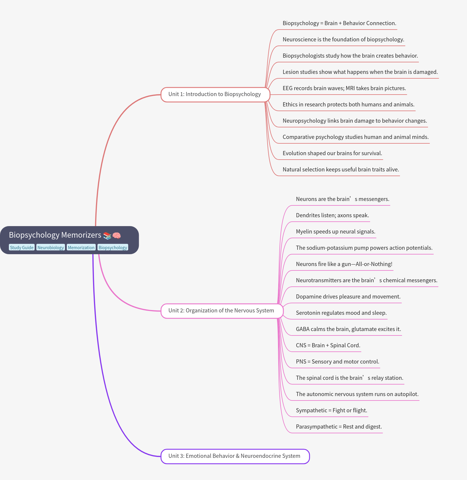 Biopsychology Memorizers: Brain & Behavior Insights