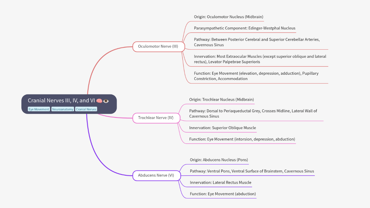 Mind Map:Cranial Nerves III, IV, and VI ...