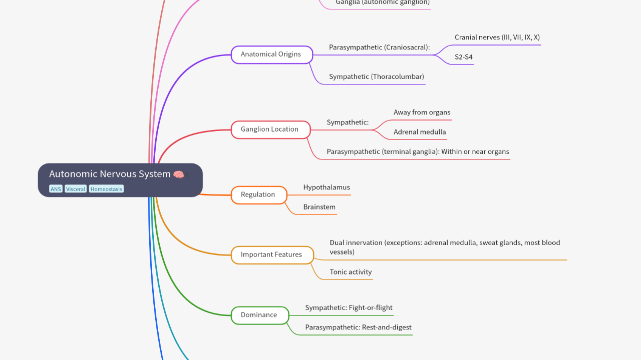 Mind Map:Autonomic Nervous System ...