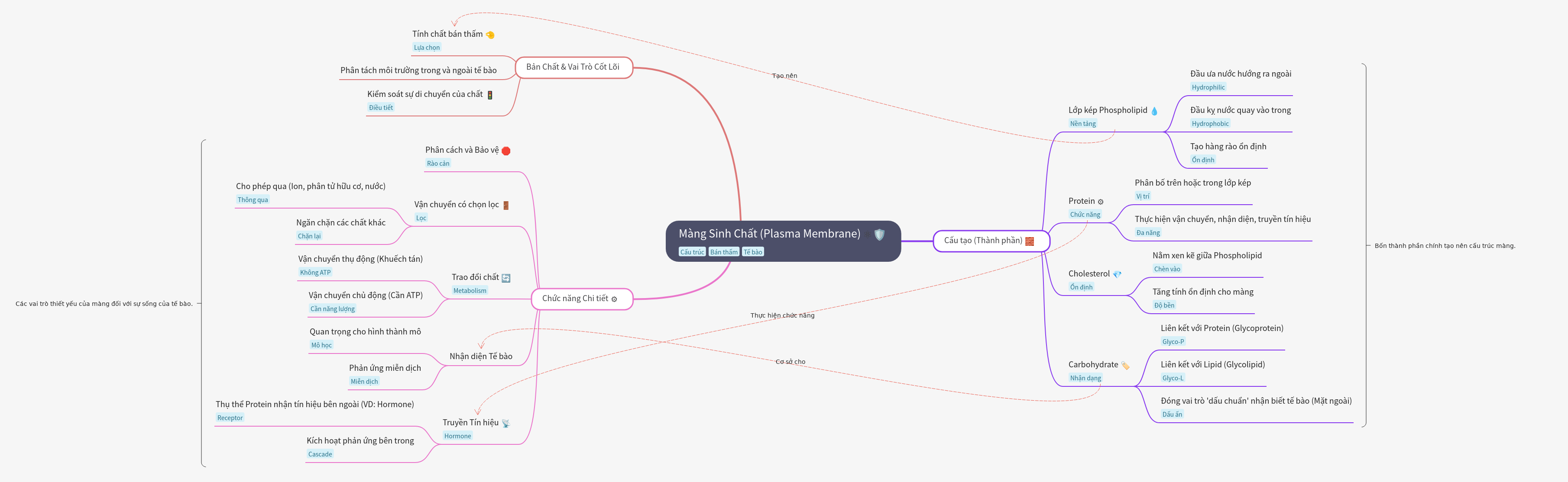 Plasma Membrane: Structure, Function, and Role