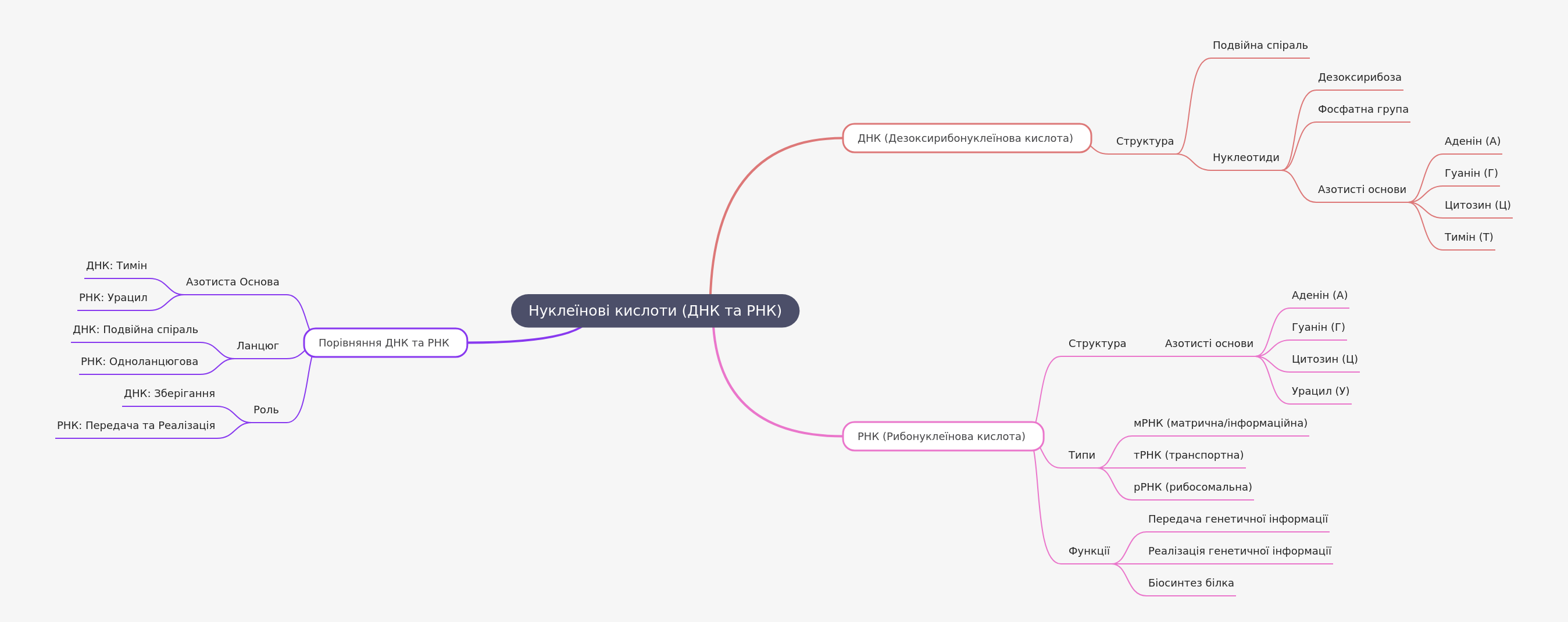 Nucleic Acids: DNA and RNA Explained